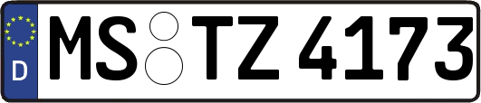 MS-TZ4173