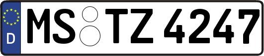 MS-TZ4247
