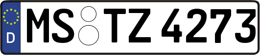 MS-TZ4273