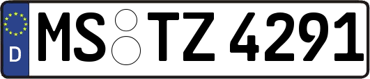 MS-TZ4291