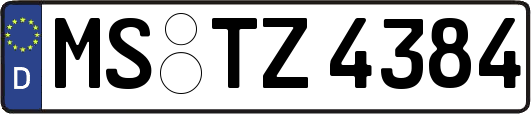 MS-TZ4384