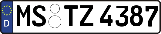 MS-TZ4387