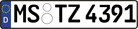 MS-TZ4391