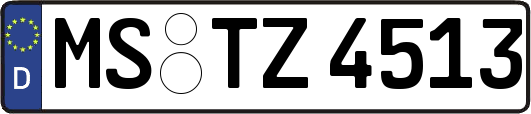 MS-TZ4513