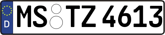 MS-TZ4613