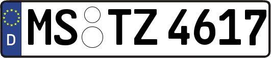 MS-TZ4617