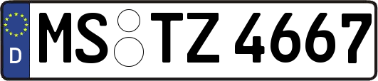 MS-TZ4667