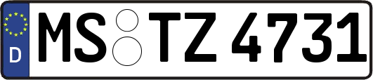 MS-TZ4731