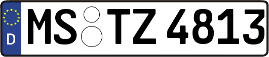 MS-TZ4813