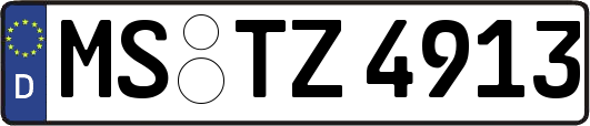 MS-TZ4913
