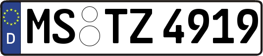 MS-TZ4919