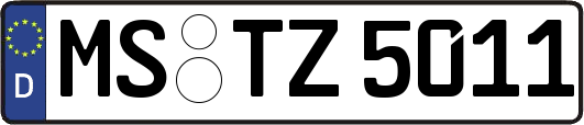 MS-TZ5011