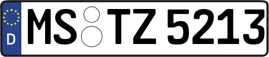 MS-TZ5213
