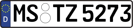 MS-TZ5273