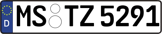 MS-TZ5291