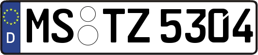 MS-TZ5304