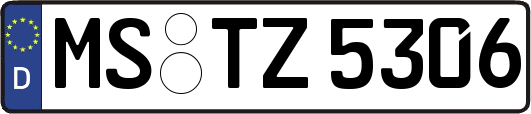 MS-TZ5306
