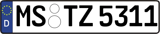 MS-TZ5311