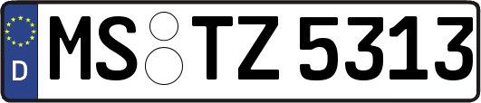 MS-TZ5313