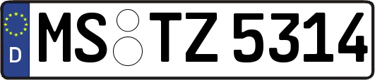 MS-TZ5314