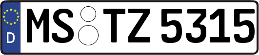 MS-TZ5315