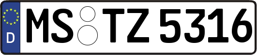 MS-TZ5316