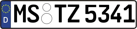 MS-TZ5341