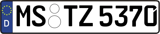 MS-TZ5370