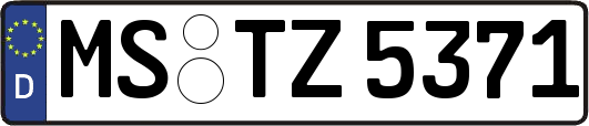 MS-TZ5371