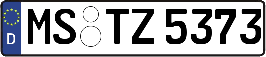 MS-TZ5373