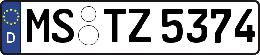 MS-TZ5374