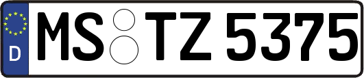 MS-TZ5375
