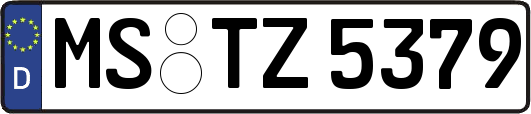 MS-TZ5379