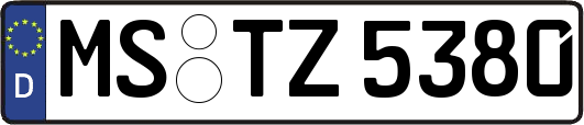 MS-TZ5380