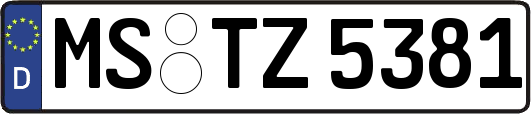 MS-TZ5381