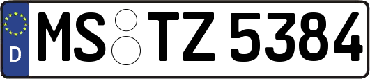 MS-TZ5384