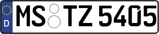 MS-TZ5405