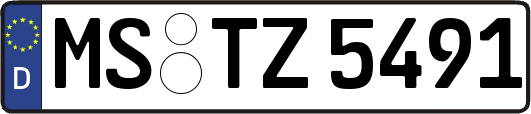 MS-TZ5491
