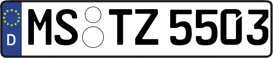 MS-TZ5503