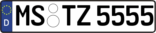 MS-TZ5555
