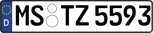 MS-TZ5593
