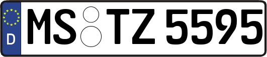 MS-TZ5595