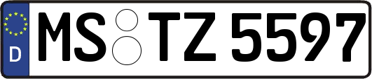 MS-TZ5597