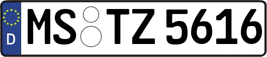 MS-TZ5616