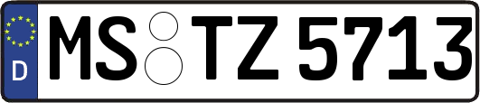 MS-TZ5713