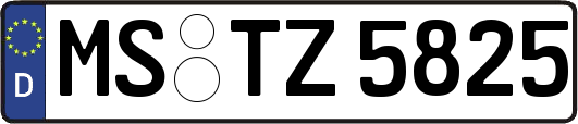 MS-TZ5825