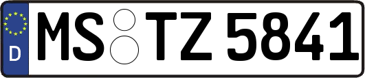 MS-TZ5841