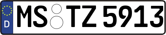 MS-TZ5913