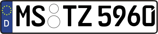 MS-TZ5960