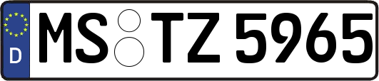 MS-TZ5965